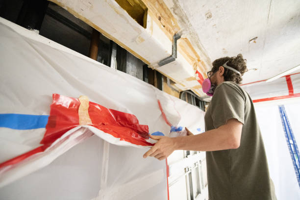 Best Attic Mold Removal  in Akron, CO
